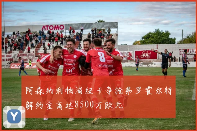 阿森纳利物浦纽卡争抢弗罗霍尔特解约金高达8500万欧元